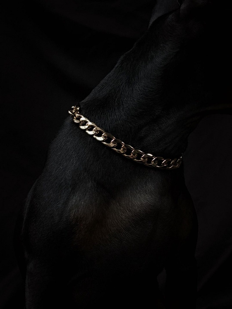 Pawsh Collar Cuban Link Dog Chain Accessory