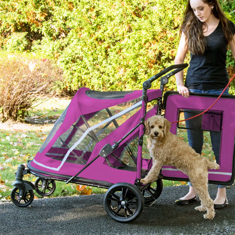 Pet Gear Expedition