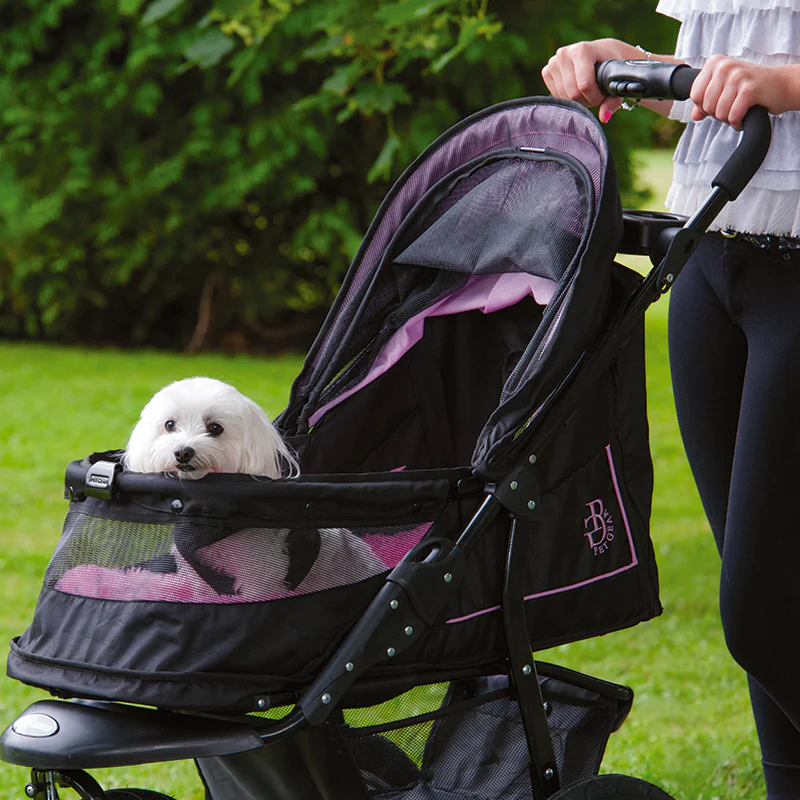 Pet Gear