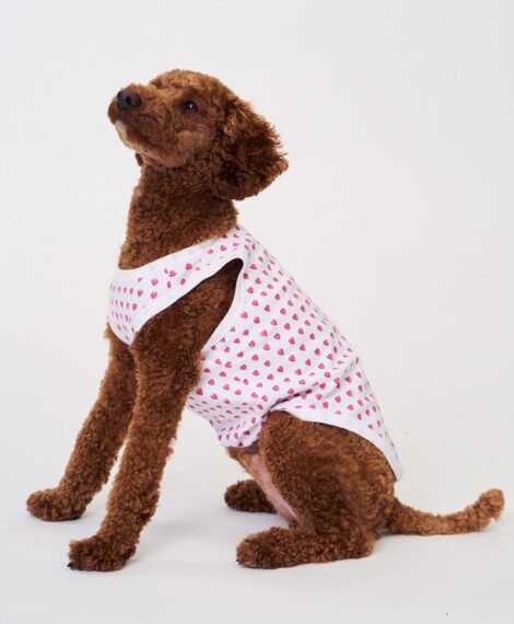 Roller Rabbit Hearts Dog Pajamas