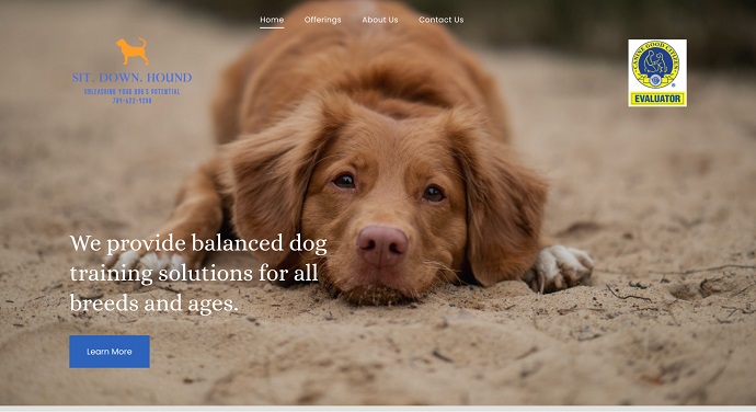 Sit Down Hound - Best for Dog Training and Pet Owner Education
