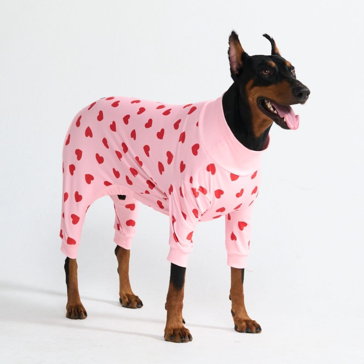 Spark Paws Dog Pajama