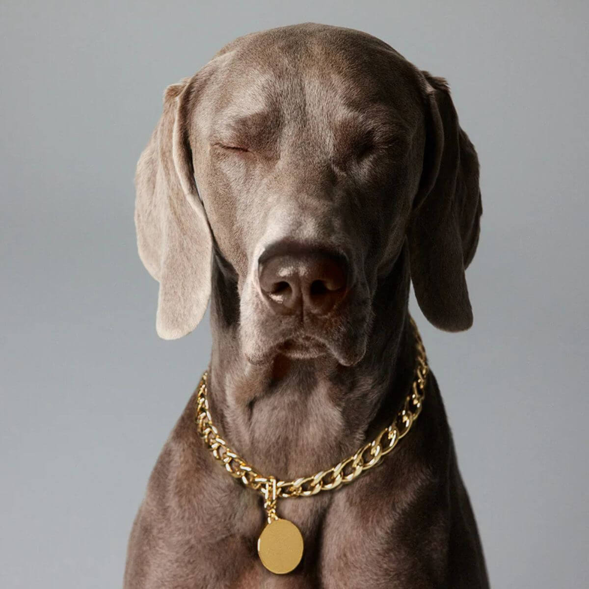 THE ANIMALS El Diablo Gold Necklace