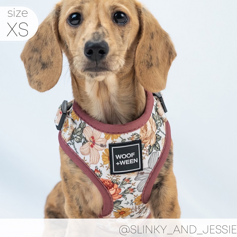 Woof and Ween Flower Fields Pattern Dog Harness