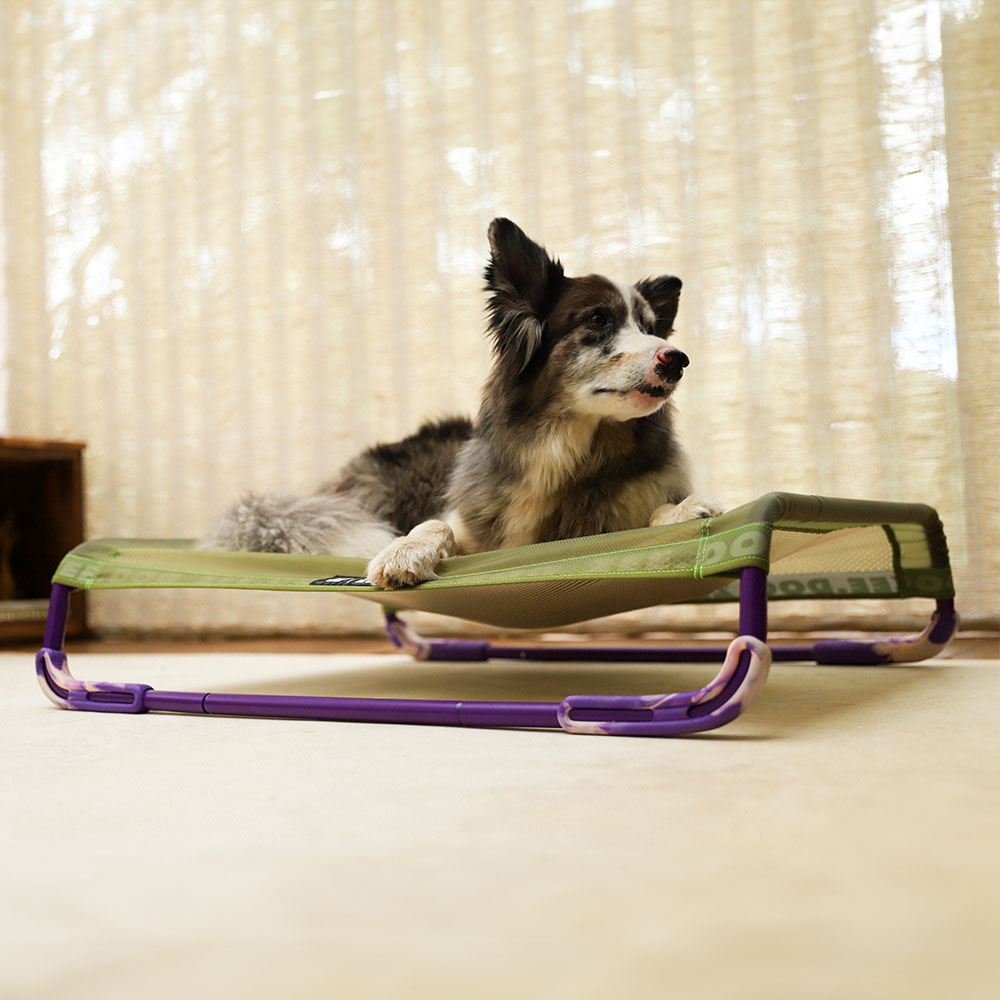 ZEE DOG Air Bed