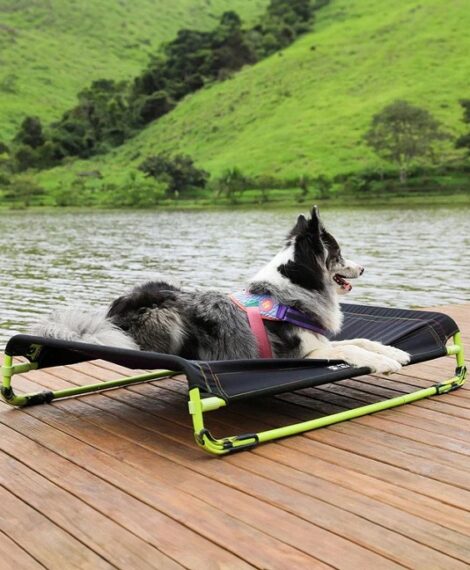 ZEE DOG Air Bed - best elevated dog beds