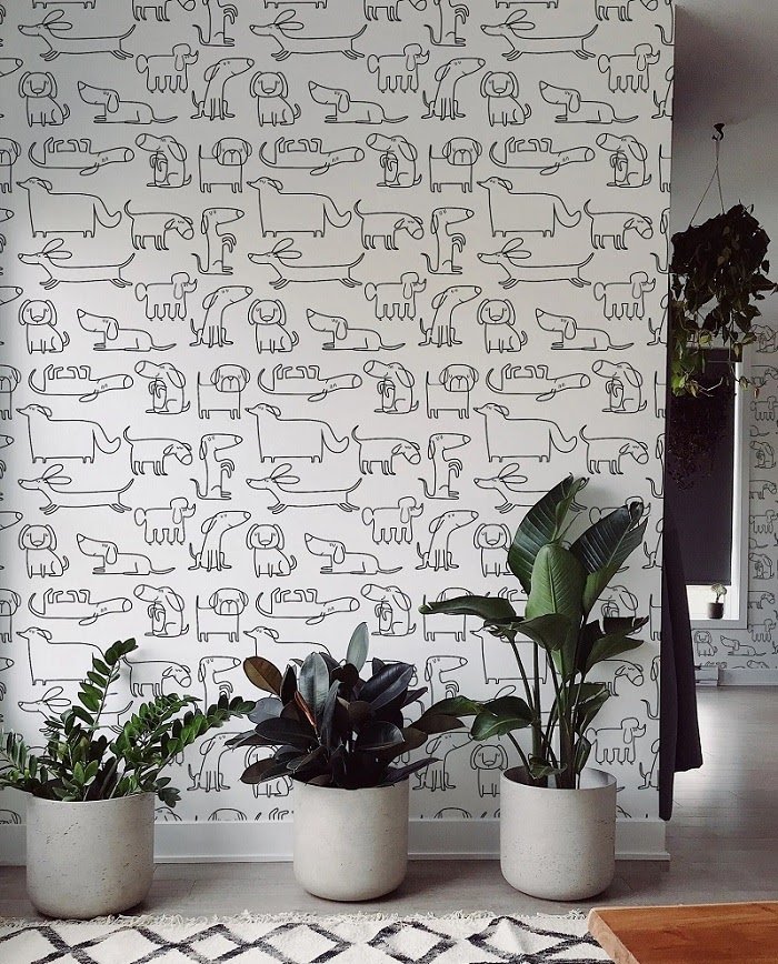 Fancy Walls Store Novelty Dog Wallpaper